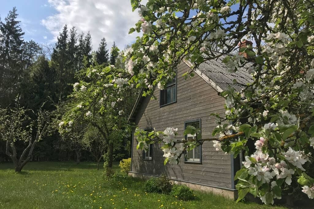 Дома для отпуска Newly renovated Latvian farm house Kraujas