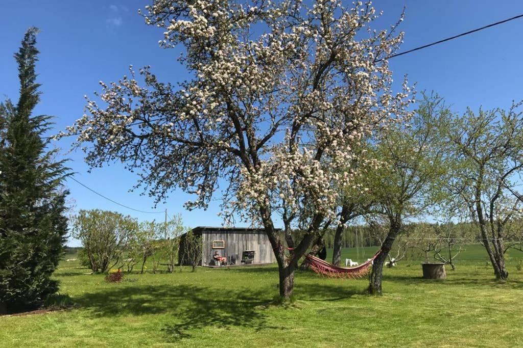 Дома для отпуска Newly renovated Latvian farm house Kraujas-34