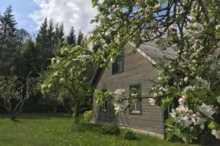 Дома для отпуска Newly renovated Latvian farm house Kraujas Дом с 2 спальнями-42